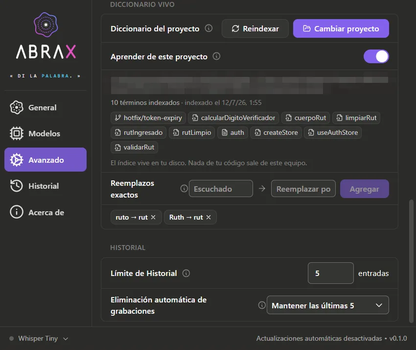 Captura real del Diccionario Vivo con el índice del proyecto activo